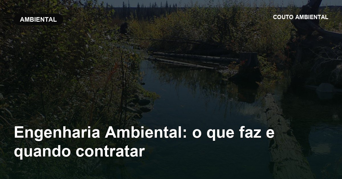 Capa do artigo da Couto Ambiental: engenharia ambiental o que faz quando contratar