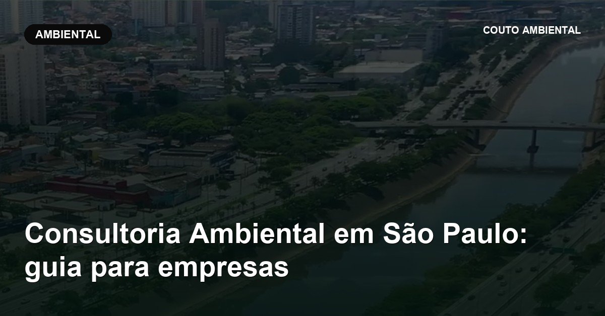 Consultoria Ambiental em São Paulo: guia para empresas